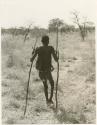 "Lame !Kham": !Kham walking and using sticks as crutches, view from behind (print is a cropped image)