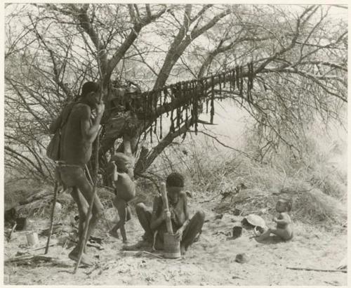 "Lame !Kham": !Kham standing with sticks as crutches, his wife pounding with a mortar and pestle, and two of his children at their dwelling place; meat he has been given hangs from a tree branch (print is a cropped image)