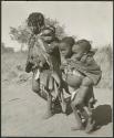 [No folder title]: Be and ≠Gisa carrying babies tied in their karosses (print is a cropped image)