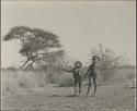 /Gaishay ("Gao Medicine's" son), and "Little ≠Gao" ("/Qui Navel's" son) playing or dancing