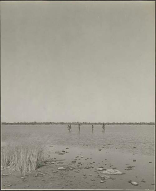 Children playing in the water, distant view