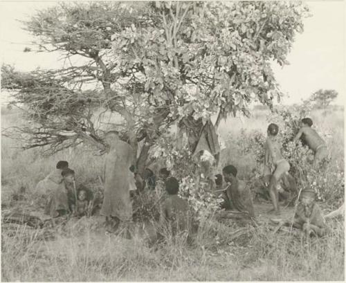 Oukwane's group and "visiting group" under a tree where visitors are starting to make their werft