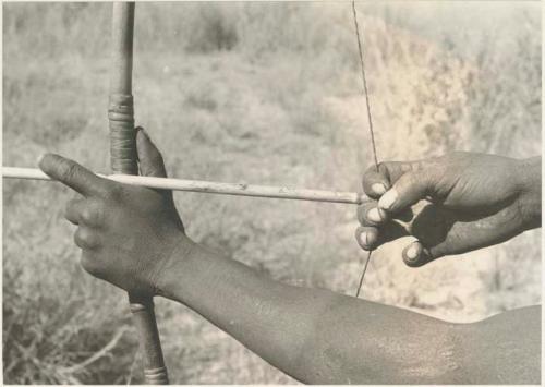 Close-up of !Gai's hands shooting an arrow
