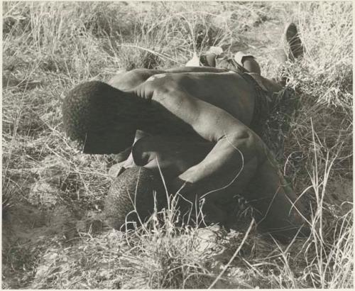 Boys tussling in grass


