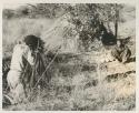 John Marshall photographing /Gishay beside two ostrich shells