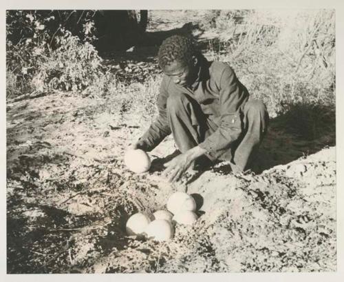 /Gishay picking up an ostrich shells
