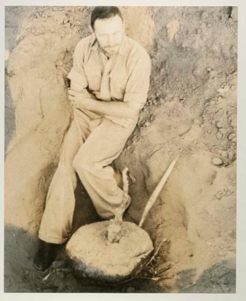 Robert Story with plant specimen (plant as a storage organ), close-up