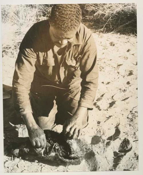 Philip Hameva holding hide with springbok

