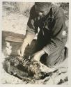 Philip Hameva cooking spingbok joint in a hide
