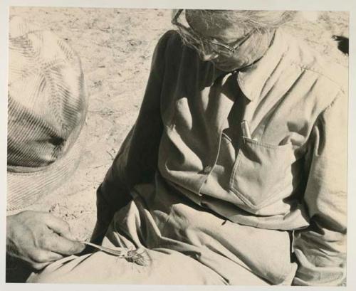 Lorna Marshall with a grasshopper in her lap; Casper Kruger feeding the grasshopper