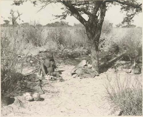 Oukwane seated, playing a bow under a tree, distant view

