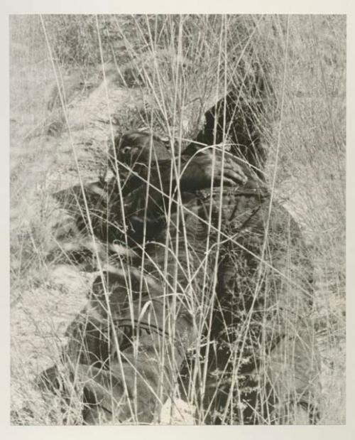 Expedition member looking down at tire track
