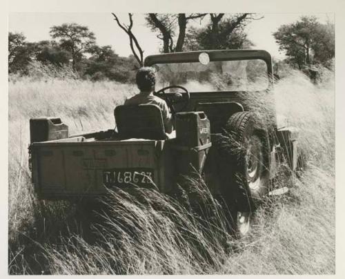 Elizabeth Marshall Thomas driving the expedition jeep through high grass, seen from behind
