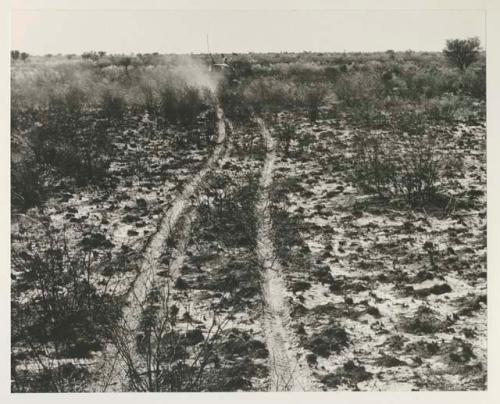 Expedition trucks crossing area burned by a brush fire