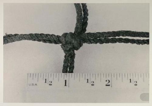 Knot in carrying net, close-up, with a ruler for measurement