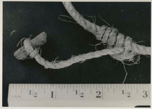 Chuam chuam, the part of a snare which holds it down to the ground, with a ruler for measurement