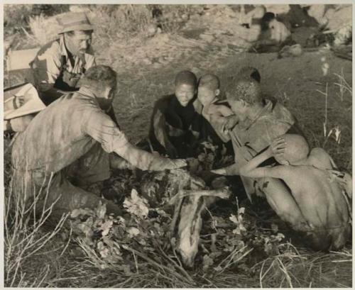 Oukwane and other people sitting and talking to William Donnellan and Elizabeth Marshall Thomas, with Wilhelm Camm interpreting. Oukwane is naming the internal parts of an animal.