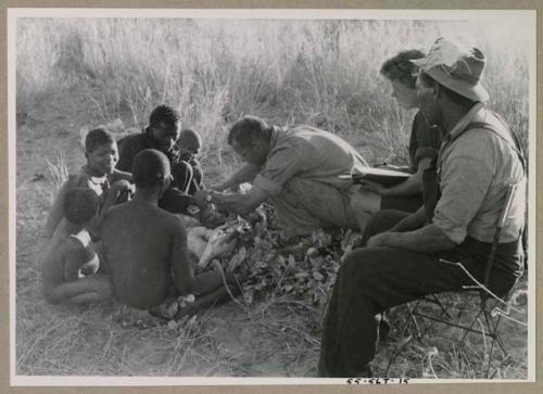 Oukwane and other people sitting and talking to William Donnellan and Elizabeth Marshall Thomas, with Wilhelm Camm interpreting. Oukwane is naming the internal parts of an animal