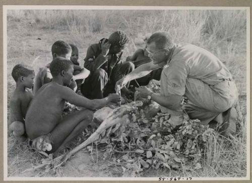 Oukwane and other people sitting and talking to William Donnellan and Elizabeth Marshall Thomas, with Wilhelm Camm interpreting. Oukwane is naming the internal parts of an animal