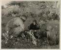 Oukwane and other people sitting and talking to William Donnellan and Elizabeth Marshall Thomas, with Wilhelm Camm interpreting. Oukwane is naming the internal parts of an animal