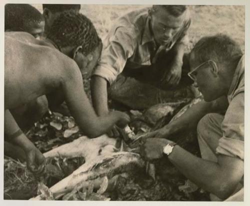 Oukwane and other people sitting and talking to William Donnellan and Elizabeth Marshall Thomas, with Wilhelm Camm interpreting. Oukwane is naming the internal parts of an animal