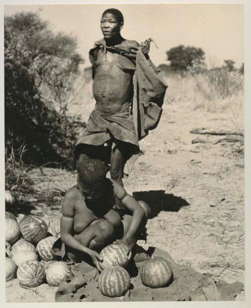 Tsekue handling tsama melons, with a man visiting from Okwa standing behind her