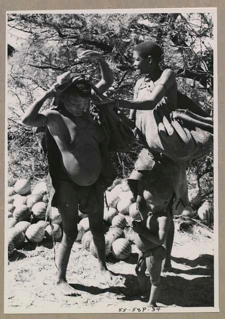 Tsekue and /Twikwe beginning to unload tsama melons from their karosses, with Oukwane standing between them
