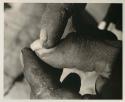 Person's fingers holding beetle larva

