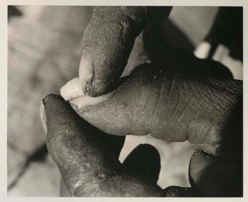 Person's fingers holding beetle larva

