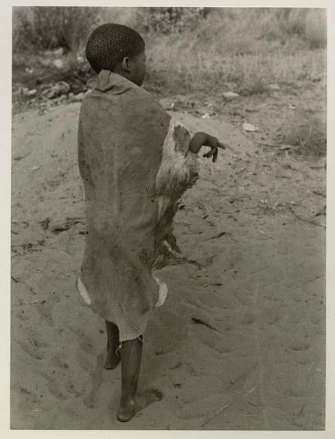 Boy in kaross, full figure standing, seen from behind


