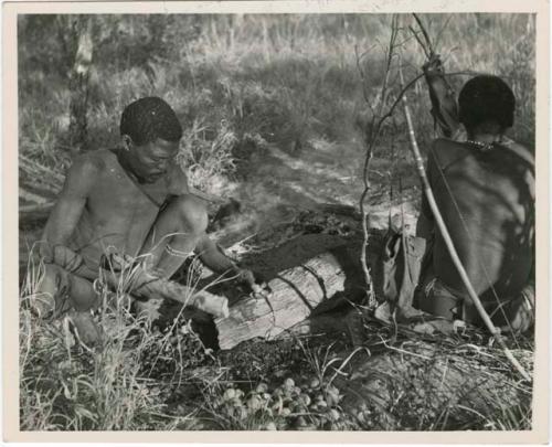 Digging for roots: "Gao Medicine" cracking mangetti nuts on a rock with a stick and a man with a bow sitting next to him (print is a cropped image)