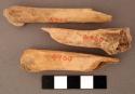 Bone shaft, both ends worked, two pointed