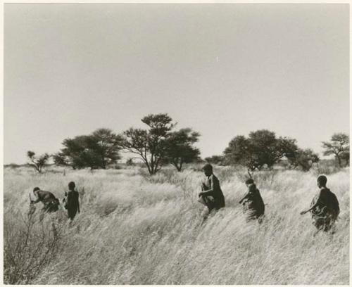 Digging for roots: Group of five people in the grass looking for tsama melons (print is a cropped image)