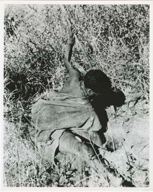 Digging for roots: Woman digging, her digging stick in her left hand, pulling sand out of a hole with her right hand (print is a cropped image)