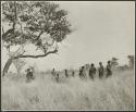 Women on gathering trips: Women walking in the grass toward a tree (print is a cropped image)