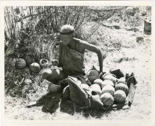 Women on gathering trips: //Ku≠tera sitting to empty load of tsama melons from kaross onto ground (print is a cropped image)