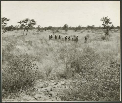 Women on gathering trips: Women walking in the grass, distant view (print is a cropped image)