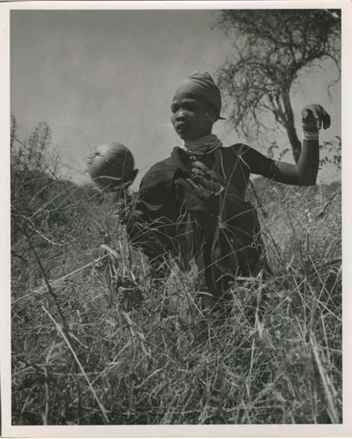 Women on gathering trips: ≠Nisa standing and holding a tsama melon (print is a cropped image)