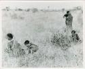 Tsi gathering: Group of women and children gathering tsi (print is a cropped image)