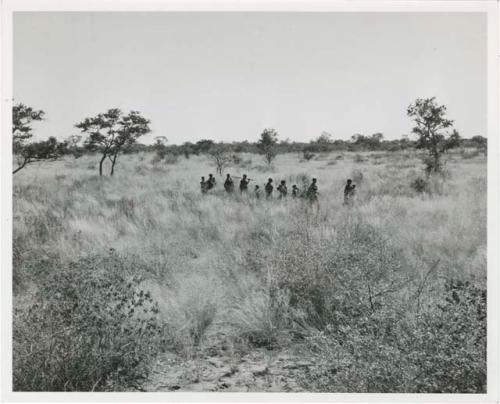 [No folder title]: Group of people gathering, walking through the grass, distant view (print is a cropped image)