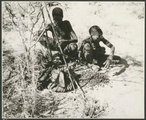 [No folder title]: Woman from /Ti!kay's group sitting with her husband, and a pile of tsi, bags and digging stick on the ground in front of them (print is a cropped image)