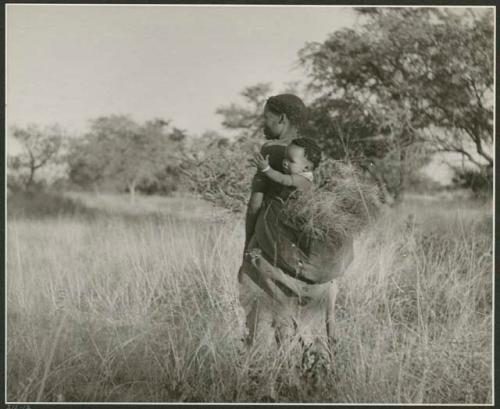 Gathering grass for bedding: Woman carrying a child and a load of grass in her kaross on her back (print is a cropped image)