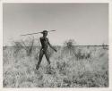 [No folder title]: Hunter throwing an assegai (print is a cropped image)