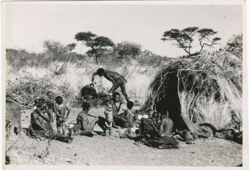 [No folder title]: "Gao Medicine" bringing a quarter of meat in meat distribution to a group of people sitting in front of a skerm, including "Old ≠Toma" sitting in the middle of the group (print is a cropped image)