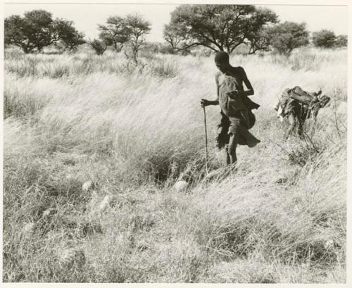 [No folder title]: /Twikwe and DaSi!Na gathering tsama melons in a field (print is a cropped image)