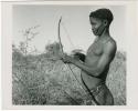 [No folder title]: "/Qui Hunter" holding a bow and arrow, showing method of holding and releasing (print is a cropped image)