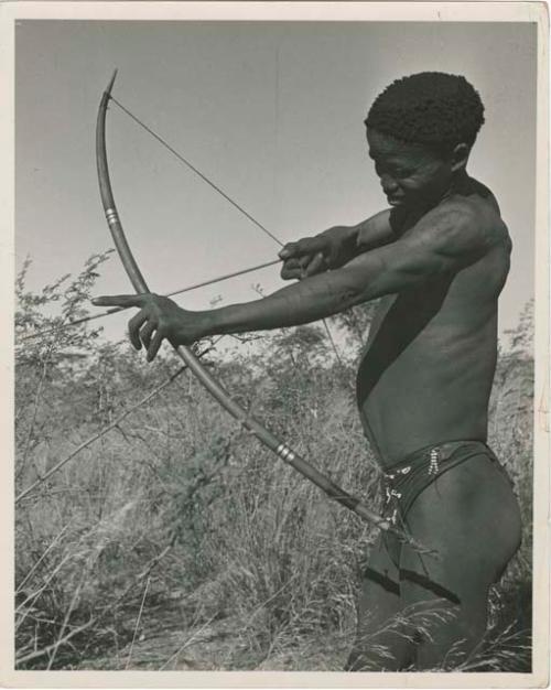 [No folder title]: "/Qui Hunter" holding a bow and arrow, showing method of holding and releasing (print is a cropped image)