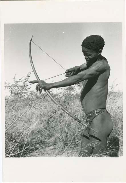 [No folder title]: "/Qui Hunter" holding a bow and arrow, showing method of holding and releasing (print is a cropped image)