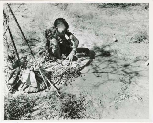 Tsi: Woman from /Ti!kay's group sitting, with a pile of tsi, bags and digging stick on the ground near her (print is a cropped image)