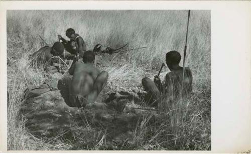 [No folder title]: "Crooked /Qui" and three other men digging for poison beetles (print is a cropped image)